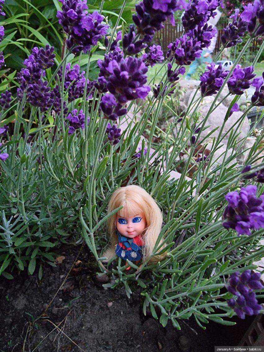 Крошка Little Kiddles — Куклы Kelly (Келли): Сестра Барби (фото 4)