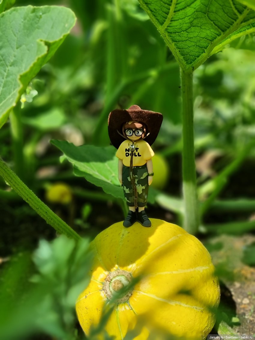 Привет, Нори — Фигурки Pop Mart (Поп Март): Blind Box (фото 6)