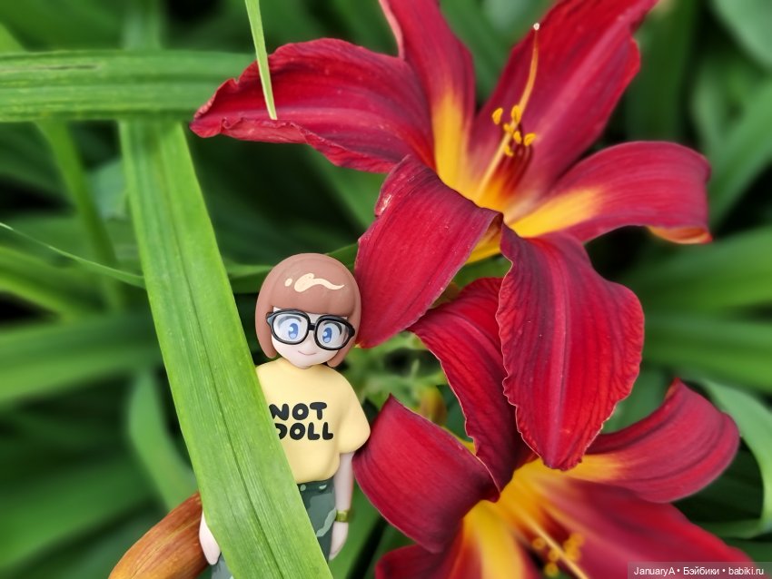 Привет, Нори — Фигурки Pop Mart (Поп Март): Blind Box (фото 9)