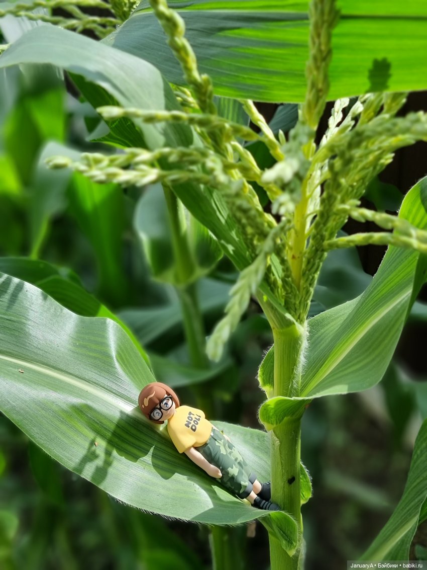 Привет, Нори — Фигурки Pop Mart (Поп Март): Blind Box (фото 8)