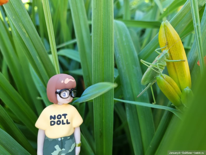 Привет, Нори — Фигурки Pop Mart (Поп Март): Blind Box