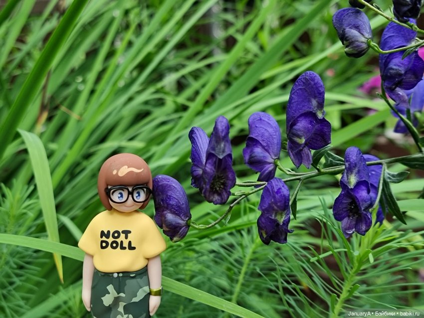 Привет, Нори — Фигурки Pop Mart (Поп Март): Blind Box