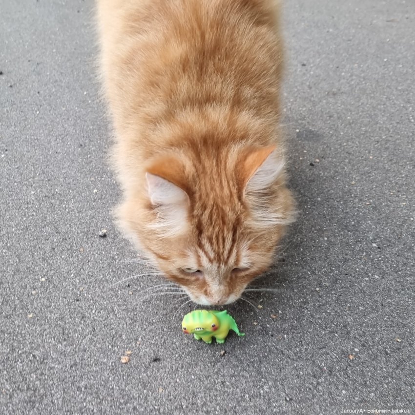 Красоту не спрятать — Интересные игрушки и фигурки (разное): редкие