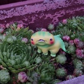 Красоту не спрятать!