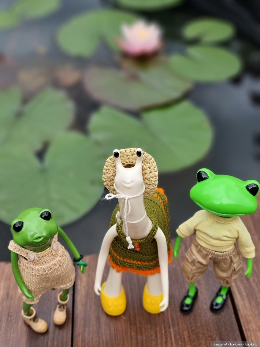 Отдых у воды. Wonder frog