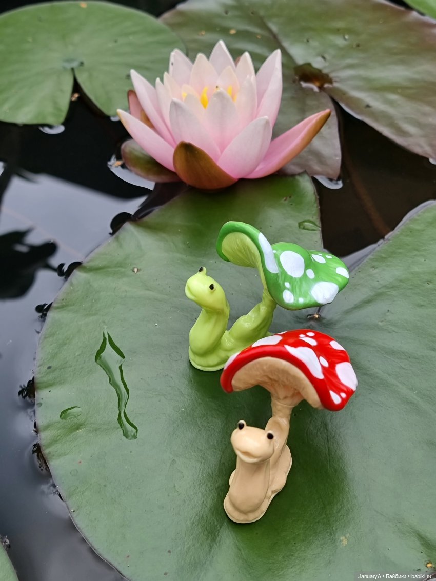 Отдых у воды. Wonder frog