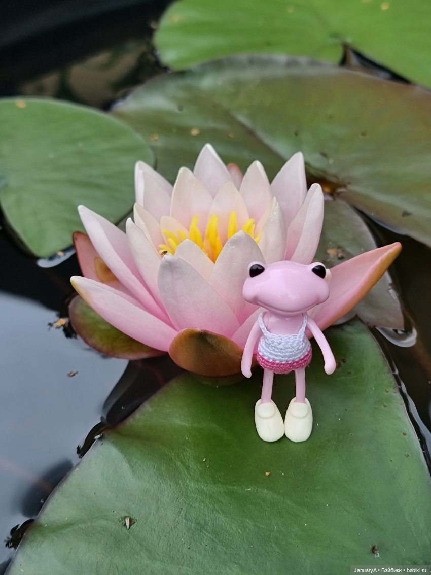 Отдых у воды. Wonder frog (фото 7)