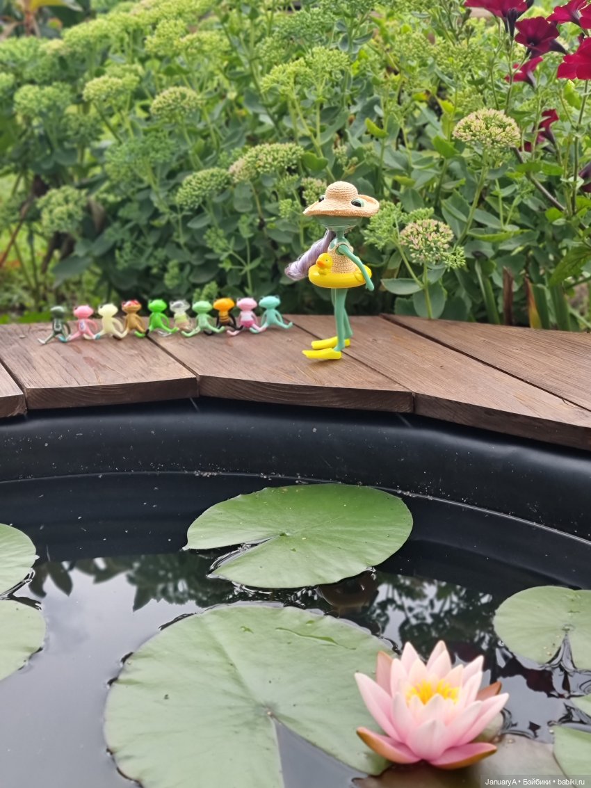 Отдых у воды. Wonder frog (фото 5)