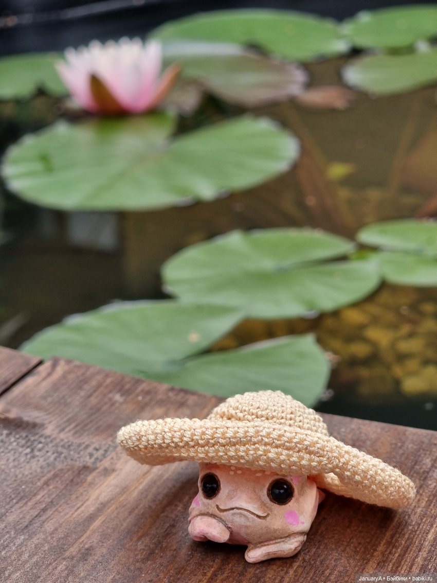 Отдых у воды. Wonder frog