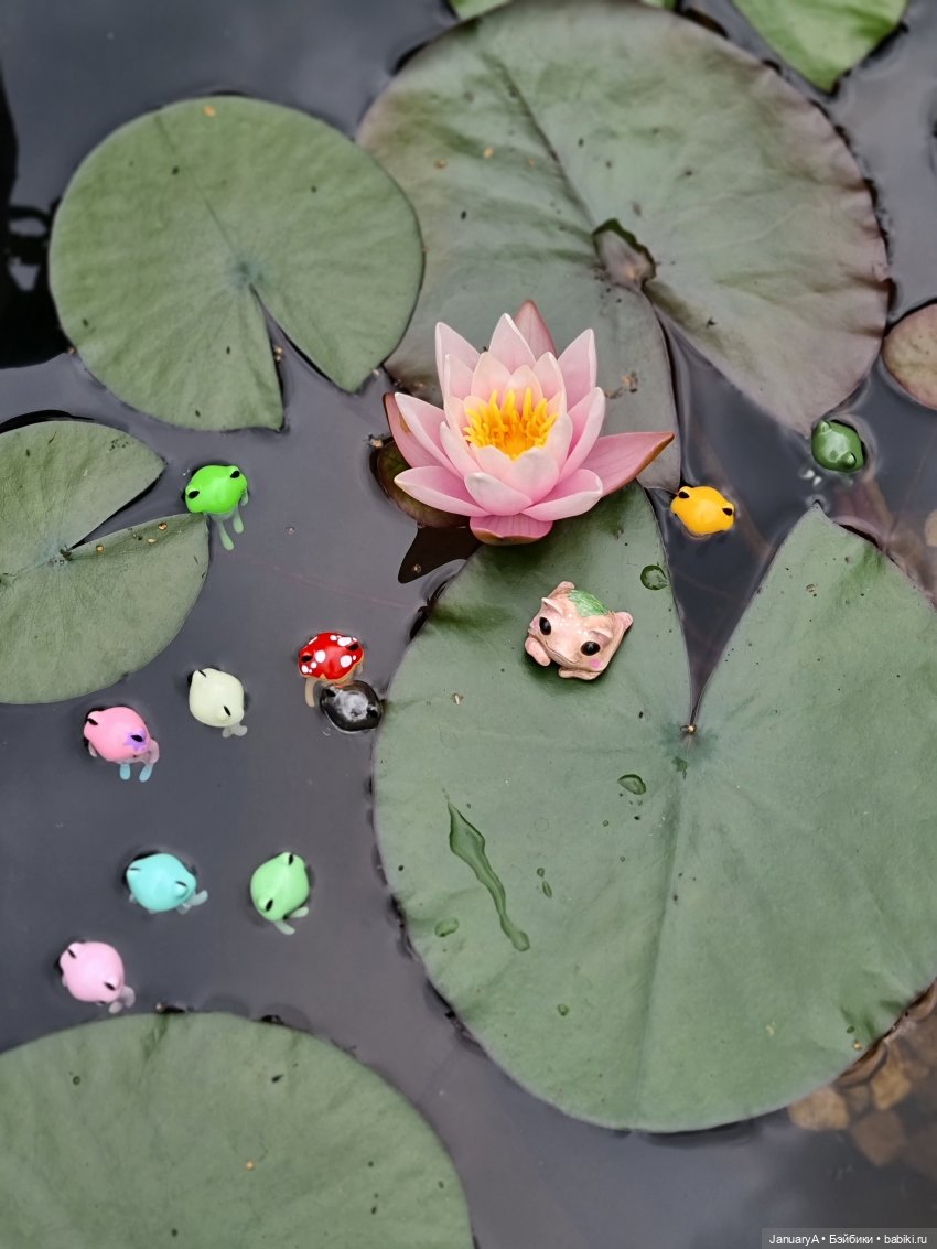 Отдых у воды. Wonder frog