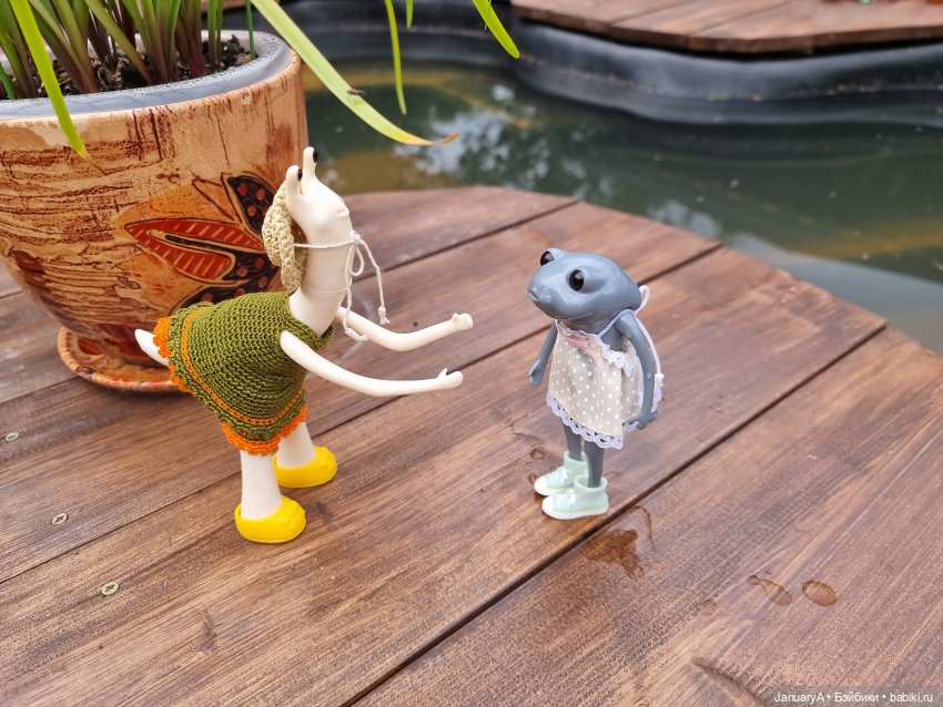 Отдых у воды. Wonder frog