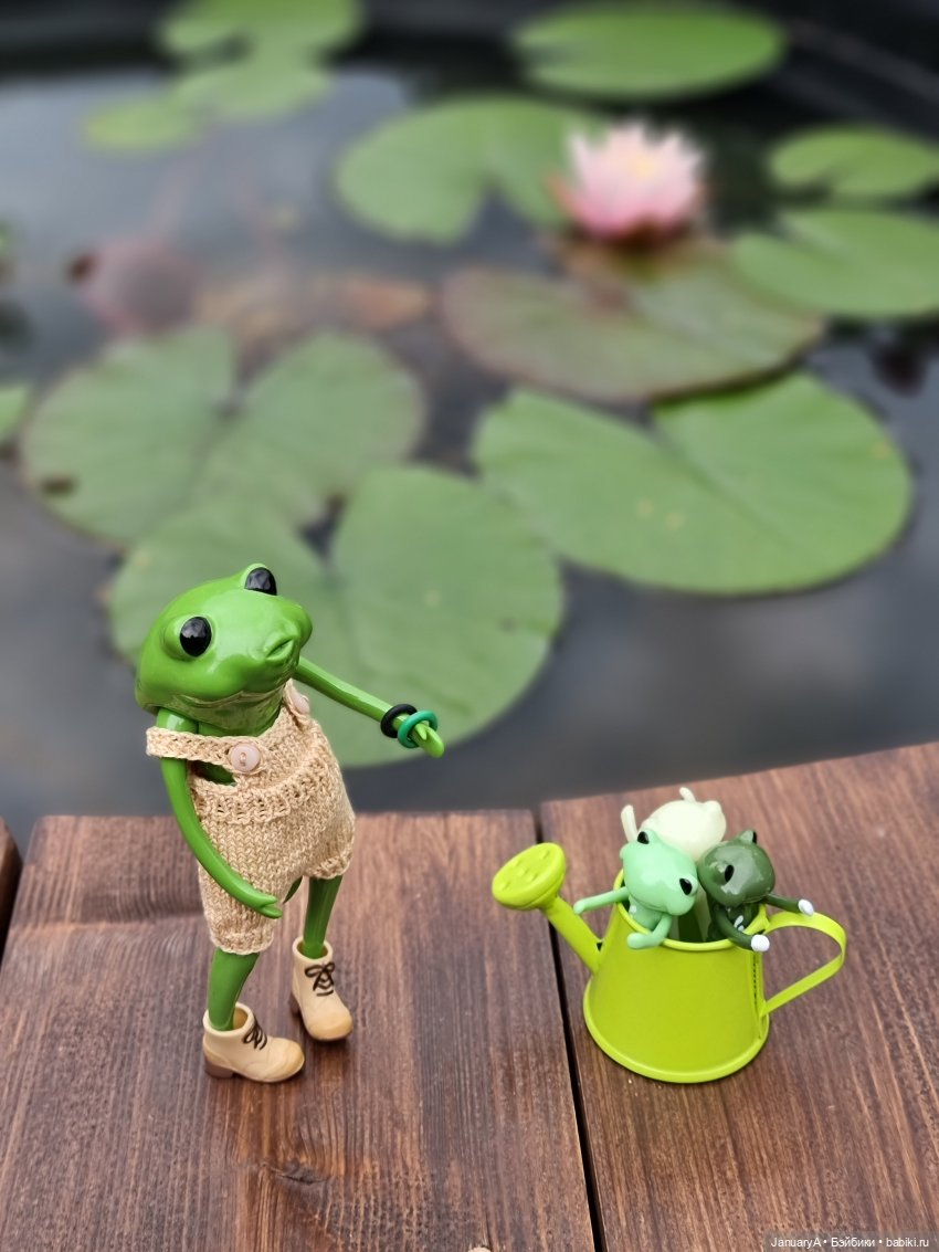 Отдых у воды. Wonder frog