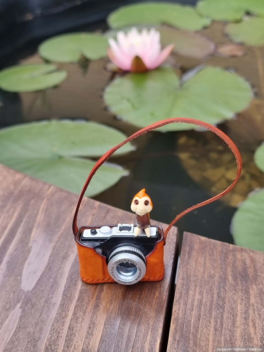 Отдых у воды. Wonder frog (фото 4)