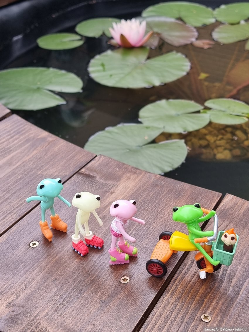Отдых у воды. Wonder frog (фото 9)