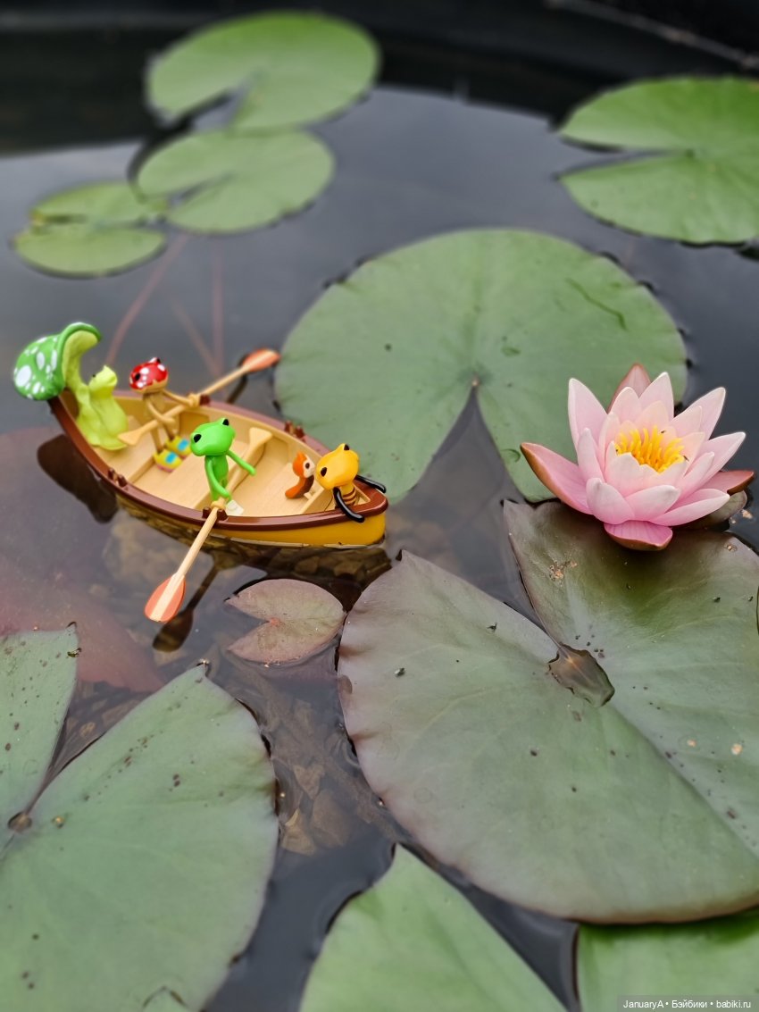 Отдых у воды. Wonder frog