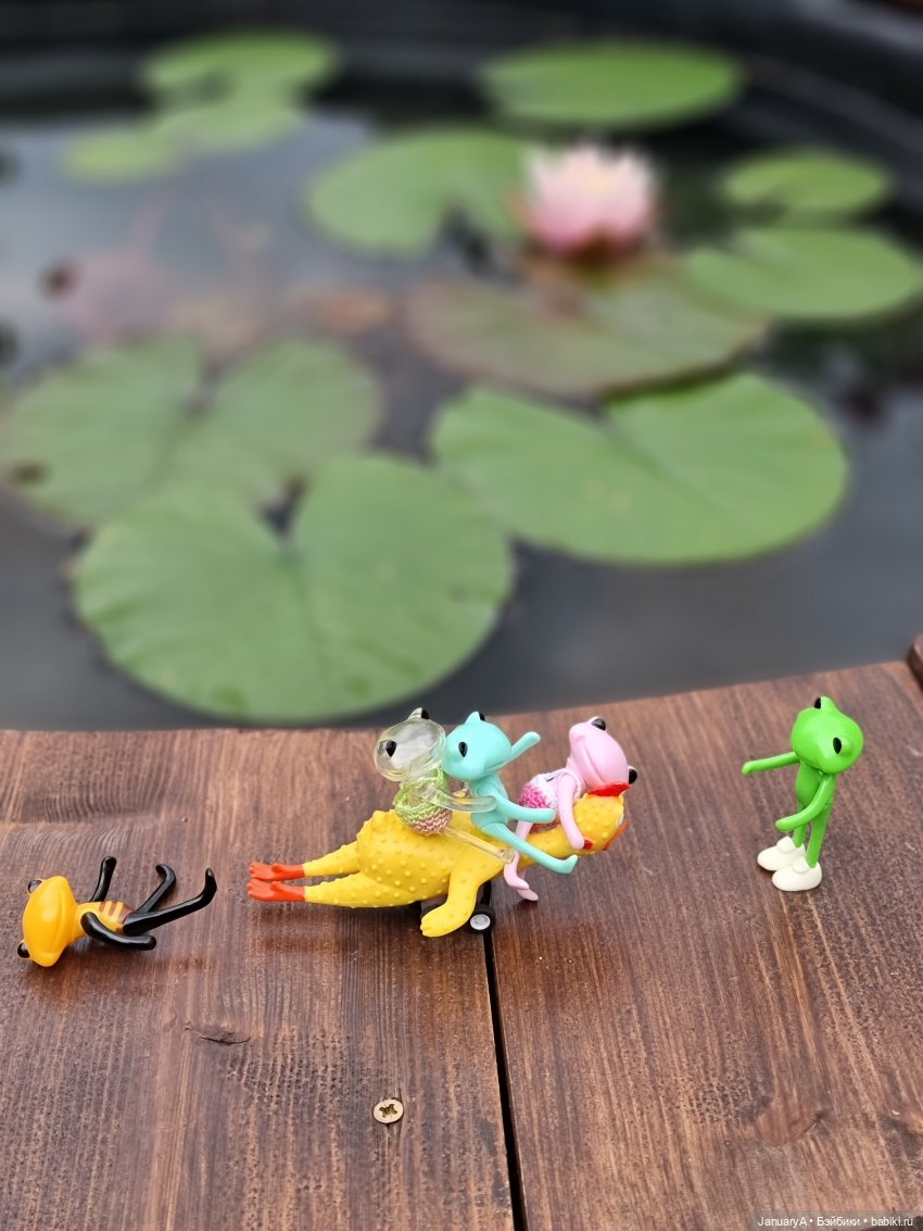 Отдых у воды. Wonder frog