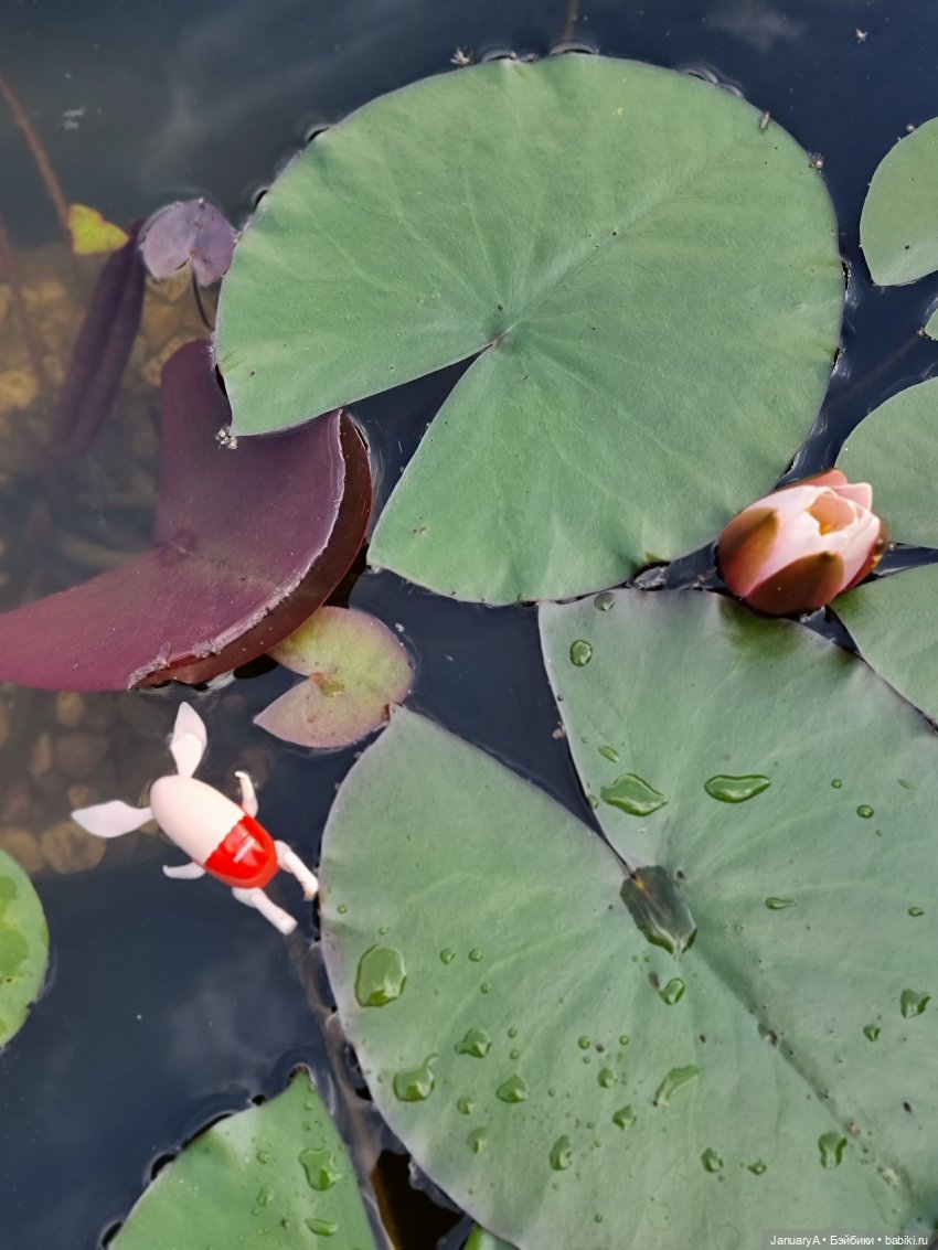 Оливье | Бэйбики Оливье — Интересные игрушки и фигурки (разное): редкие