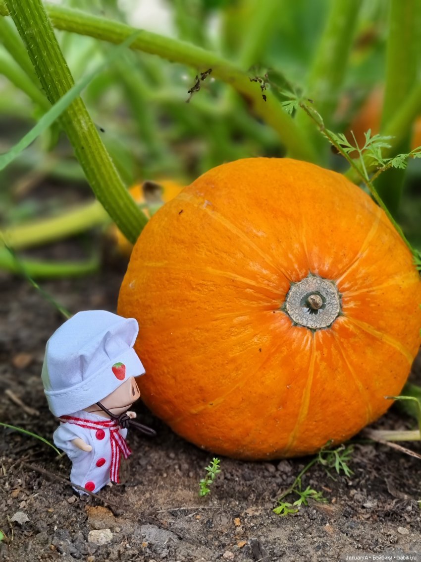 Оливье | Бэйбики Оливье — Интересные игрушки и фигурки (разное): редкие