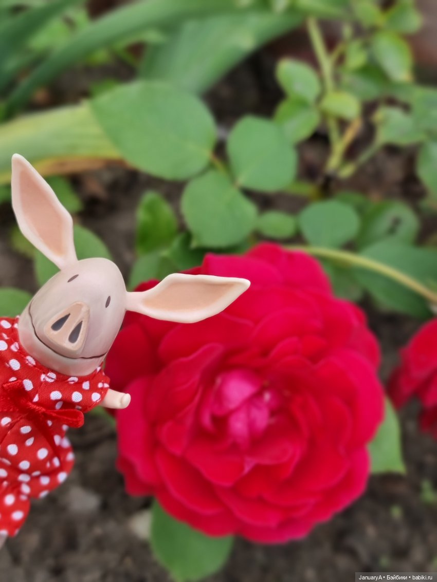 Оливье | Бэйбики Оливье — Интересные игрушки и фигурки (разное): редкие