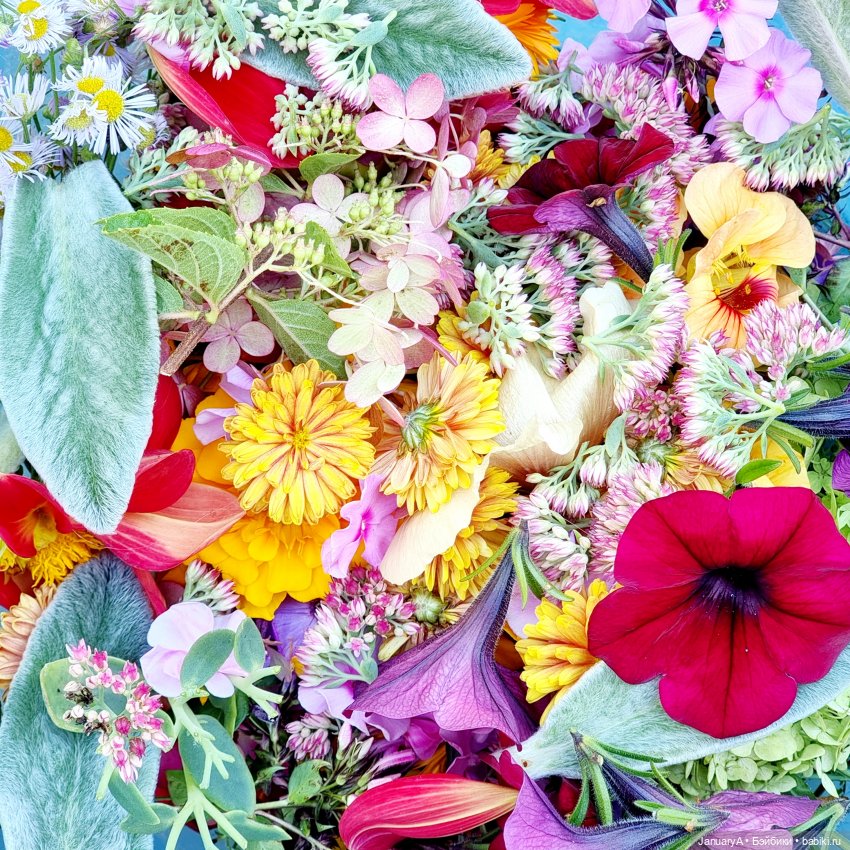 Красивое с куклой Flatsy — Игровые куклы разных производителей (Разное): редкие бренды