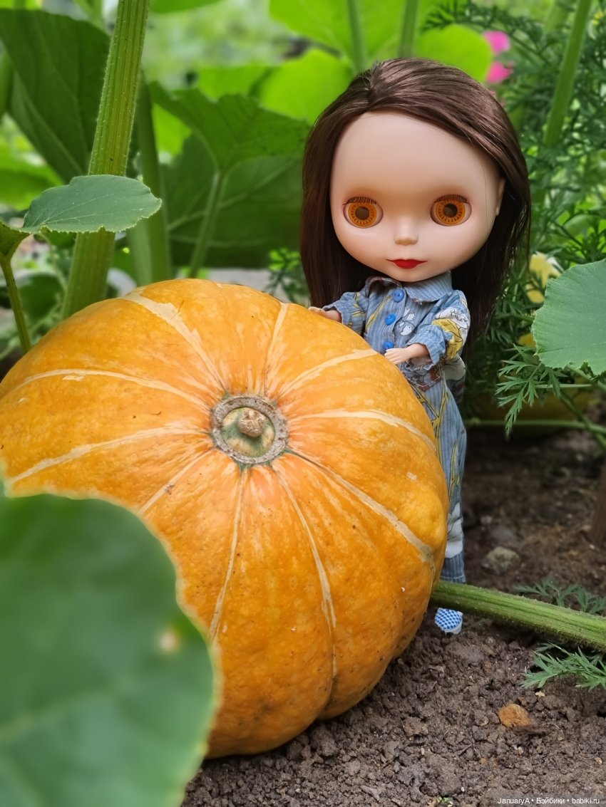 Флешмоб ТЫКВябрь — Кукольные флешмобы: Эстафеты (фото 6)