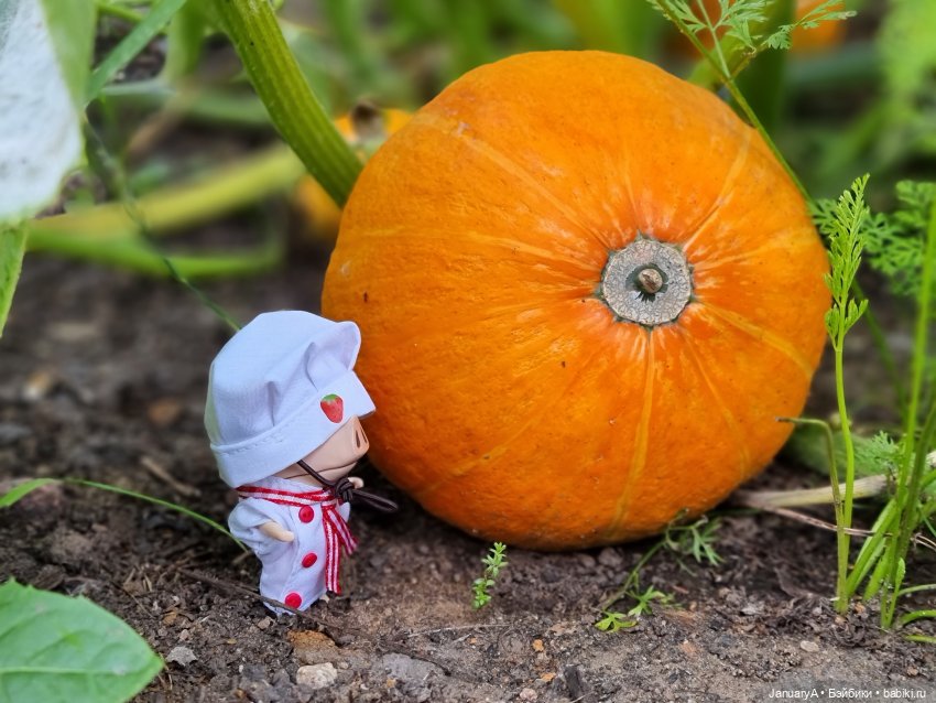 Флешмоб ТЫКВябрь — Кукольные флешмобы: Эстафеты (фото 5)