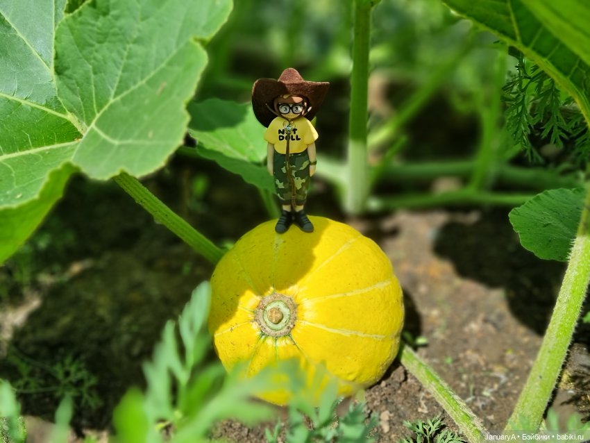 Флешмоб ТЫКВябрь — Кукольные флешмобы: Эстафеты (фото 3)