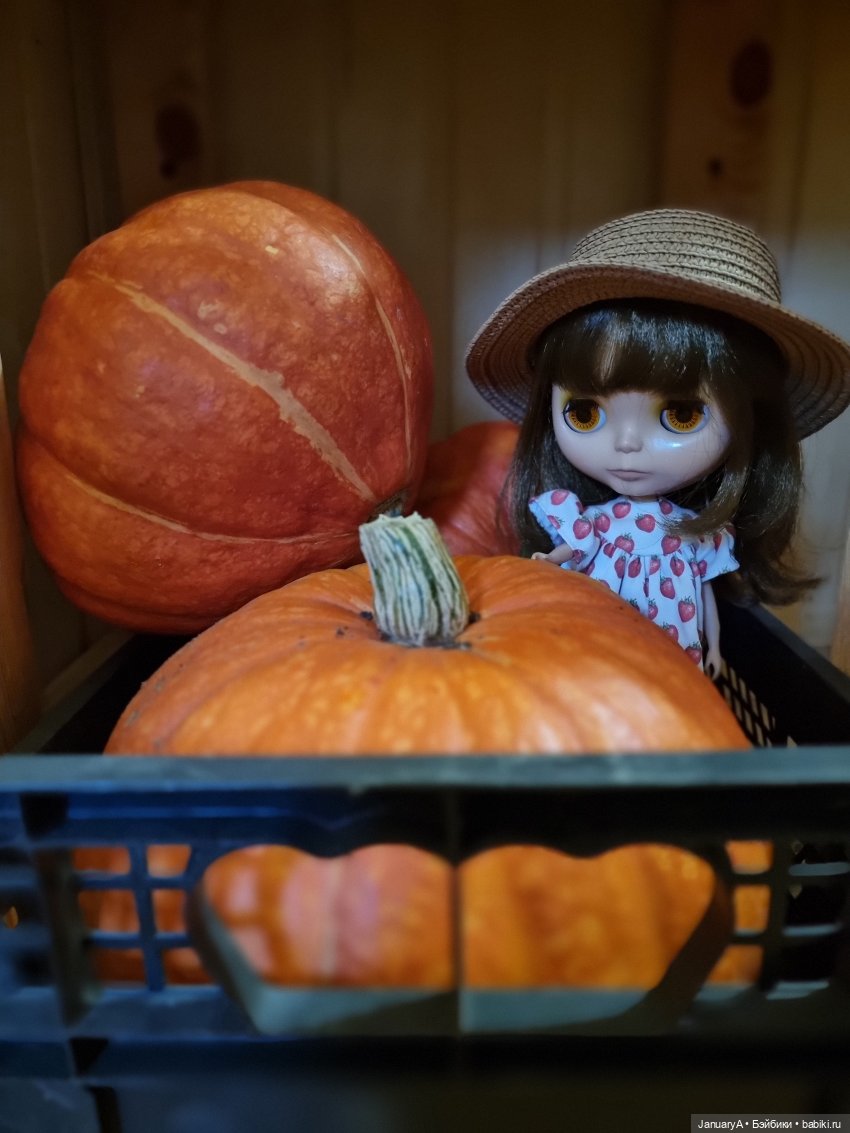 Флешмоб ТЫКВябрь — Кукольные флешмобы: Эстафеты (фото 4)