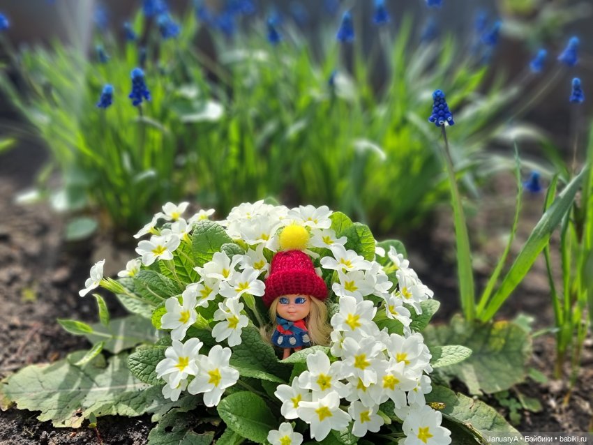 Крошка Little Kiddles — Куклы Kelly (Келли): Сестра Барби