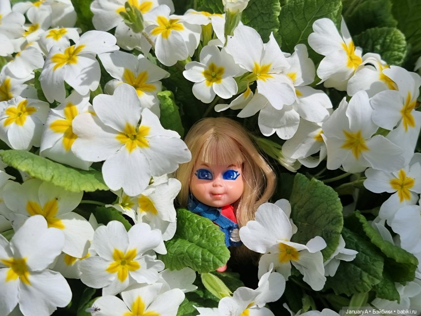 Крошка Little Kiddles — Куклы Kelly (Келли): Сестра Барби