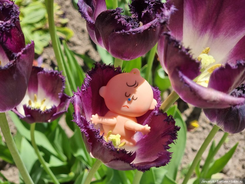 Пип | Бэйбики Интересные игрушки и фигурки (разное): редкие (фото 6)