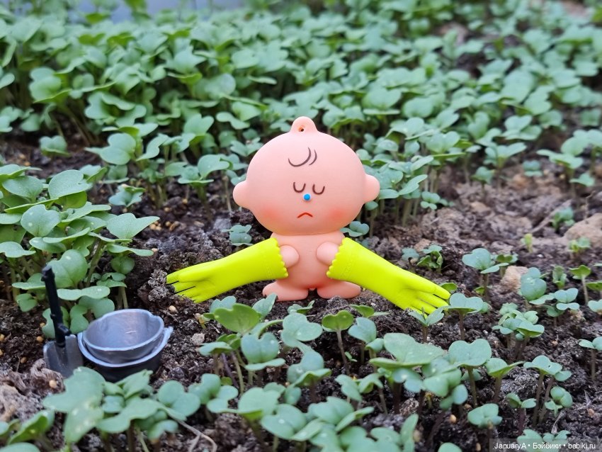 Пип | Бэйбики Интересные игрушки и фигурки (разное): редкие (фото 9)