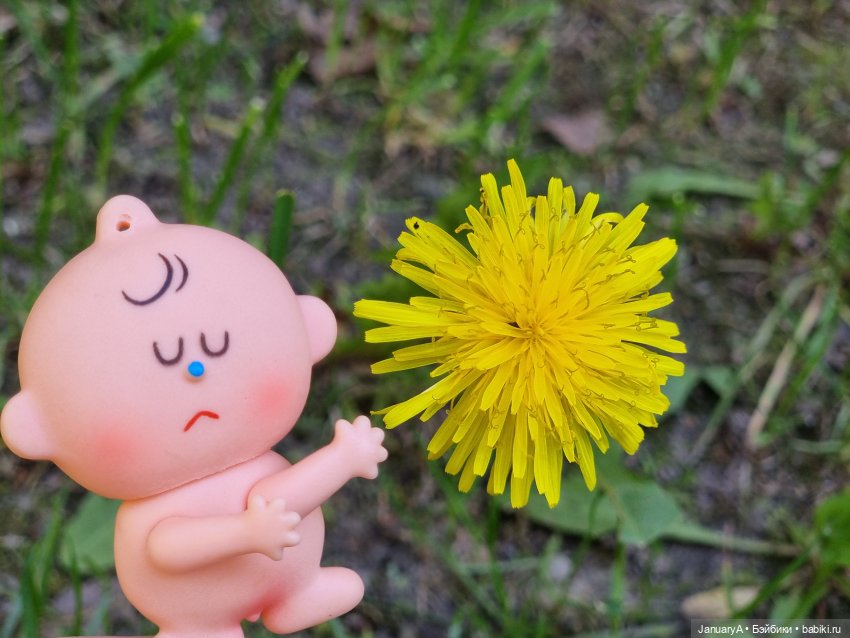 Пип | Бэйбики Интересные игрушки и фигурки (разное): редкие