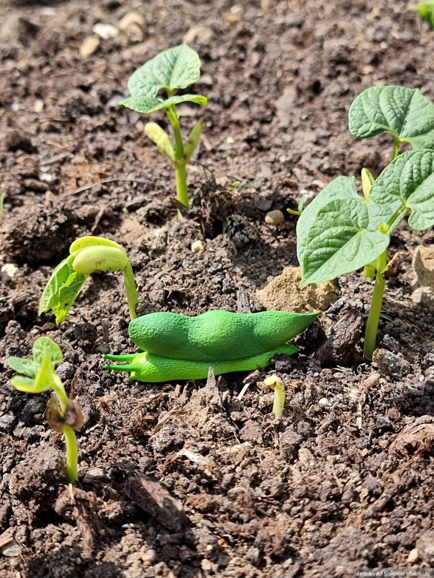 Не играй с едой | Бэйбики Не играй с едой — Коллекционные фигурки (разное): животные (фото 8)