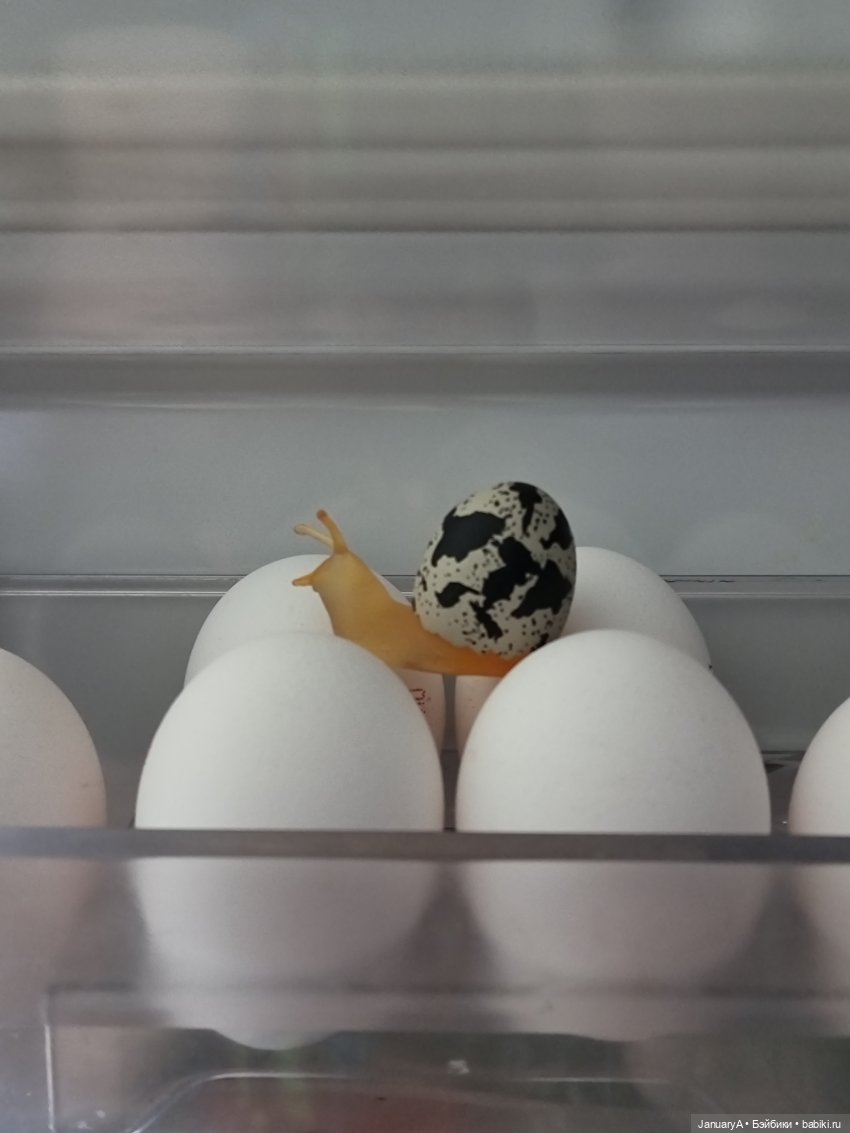 Не играй с едой | Бэйбики Не играй с едой — Коллекционные фигурки (разное): животные (фото 10)