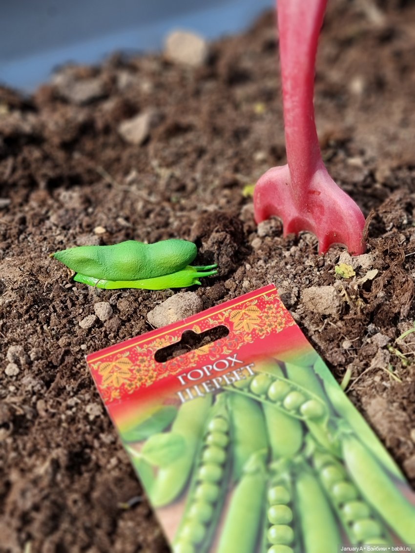 Не играй с едой | Бэйбики Не играй с едой — Коллекционные фигурки (разное): животные