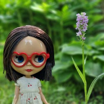 Блайз Prima Dolly Ebony