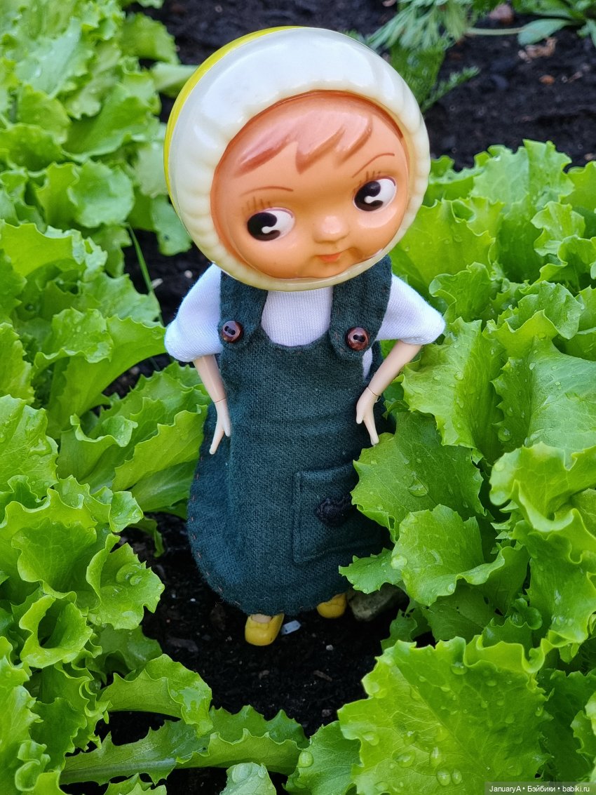 Машка и борьба за урожай — Игровые куклы разных производителей (Разное): редкие бренды (фото 3)