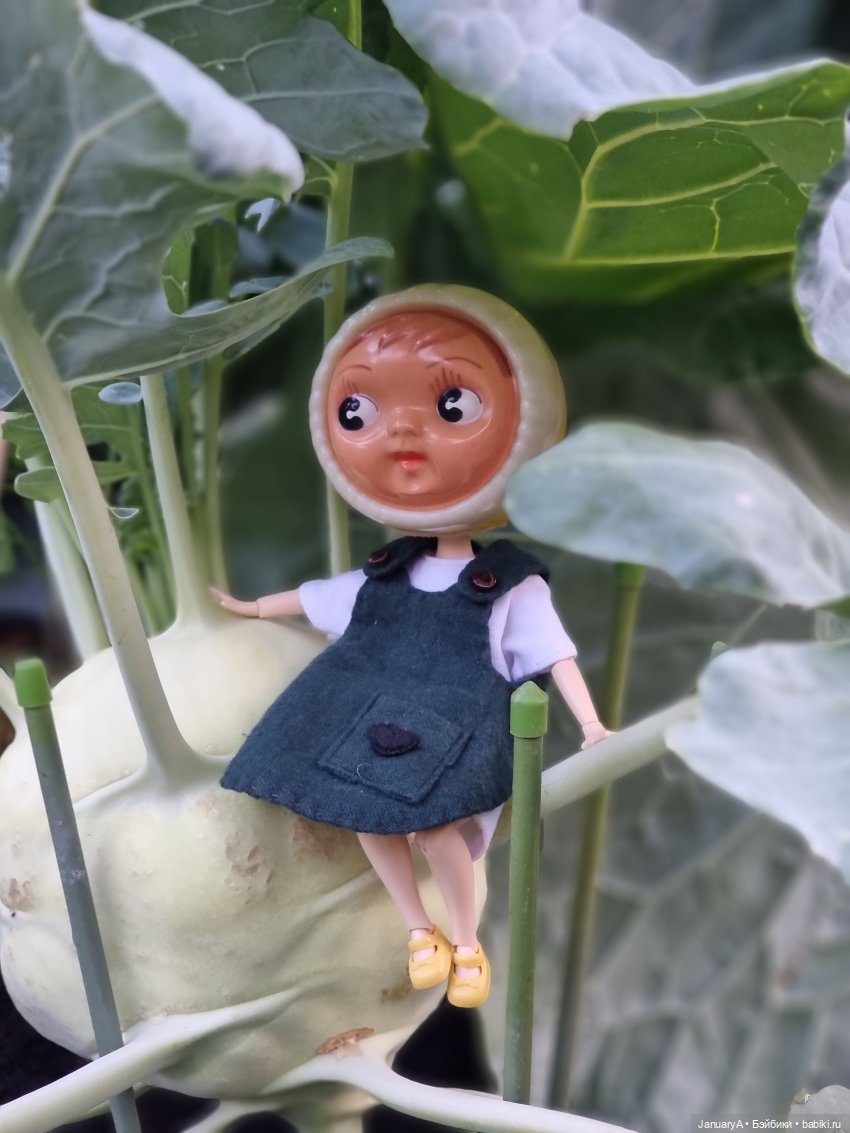 Машка и борьба за урожай — Игровые куклы разных производителей (Разное): редкие бренды (фото 2)