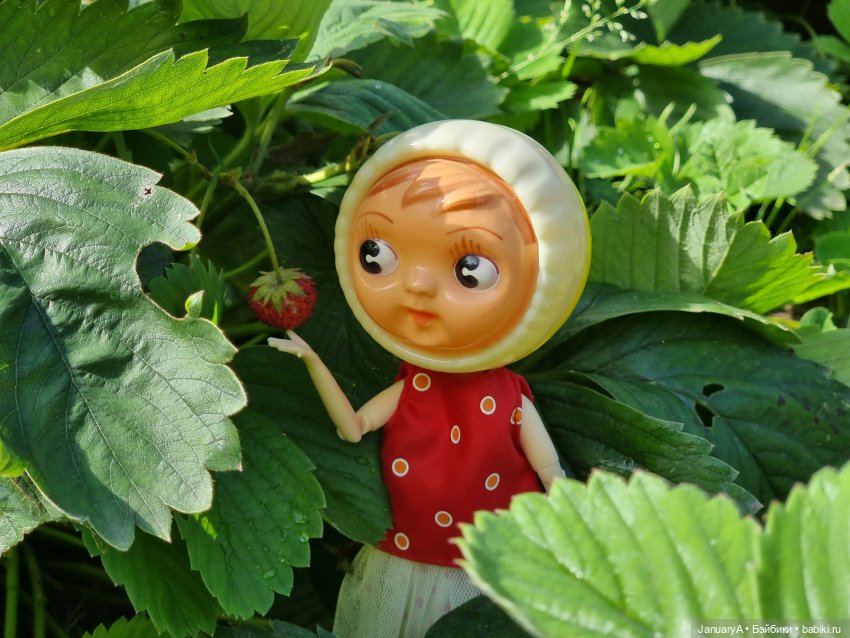 Машка и борьба за урожай — Игровые куклы разных производителей (Разное): редкие бренды