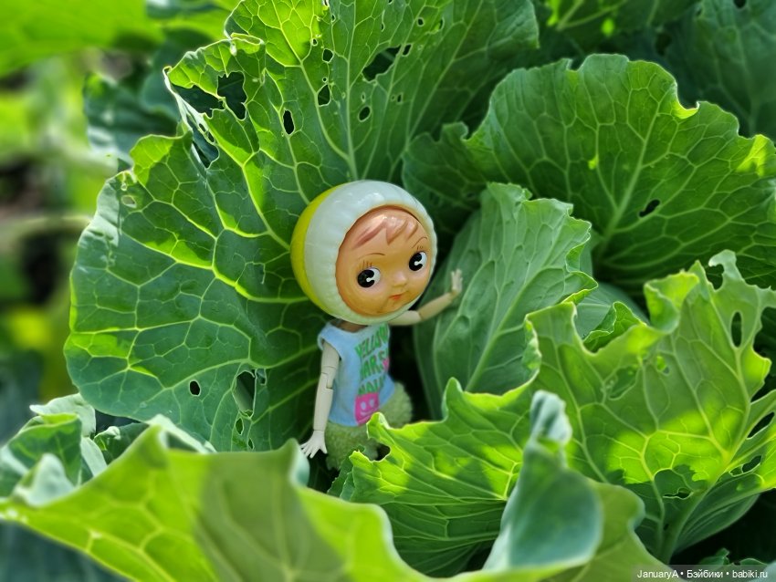 Машка и борьба за урожай — Игровые куклы разных производителей (Разное): редкие бренды