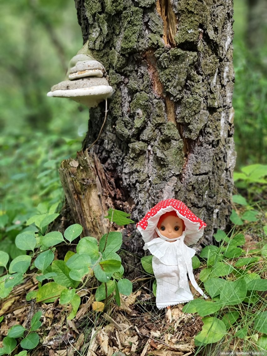 Мои Камар(ики) | Бэйбики Мои Камар(ики) — Игровые куклы разных производителей (Разное): редкие бренды (фото 3)