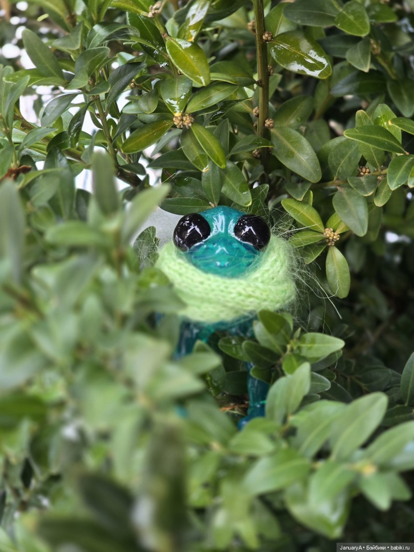 Опять лягушка 🐸 — Домашние фото авторских игрушек: Тедди (фото 9)