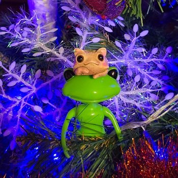 Новый год с лягушками 🐸