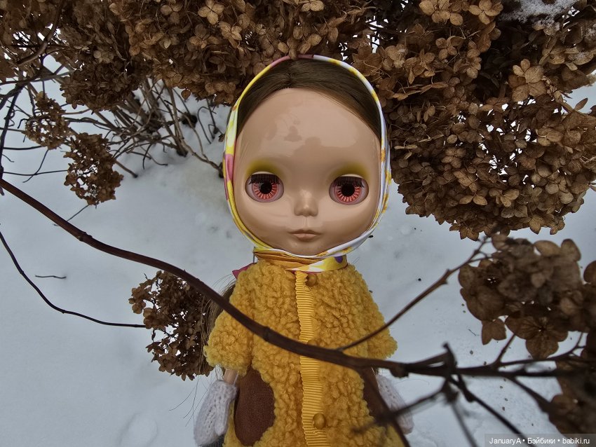 Блайз Tea for two encore — Оригинальные куклы Blythe (Блайз): Takara (фото 10)