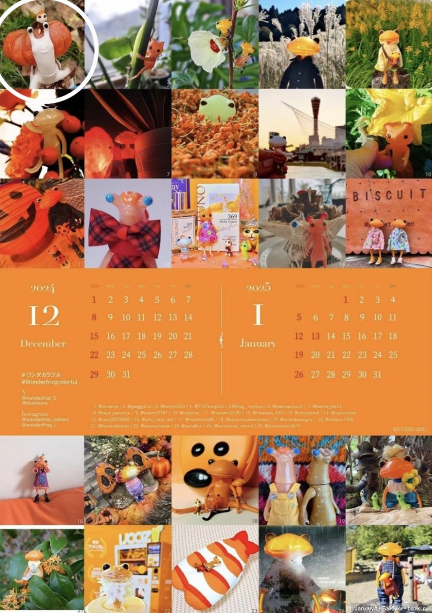 Мои фотографии в календаре Wonder frog 🐸 (фото 5)