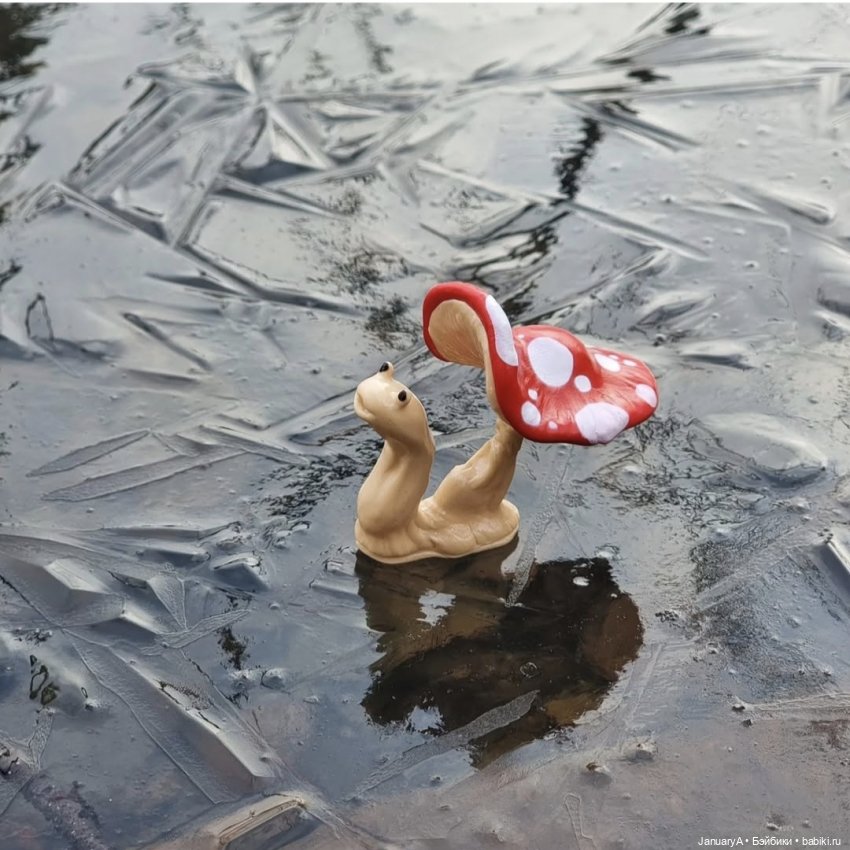 Мои фотографии в календаре Wonder frog 🐸