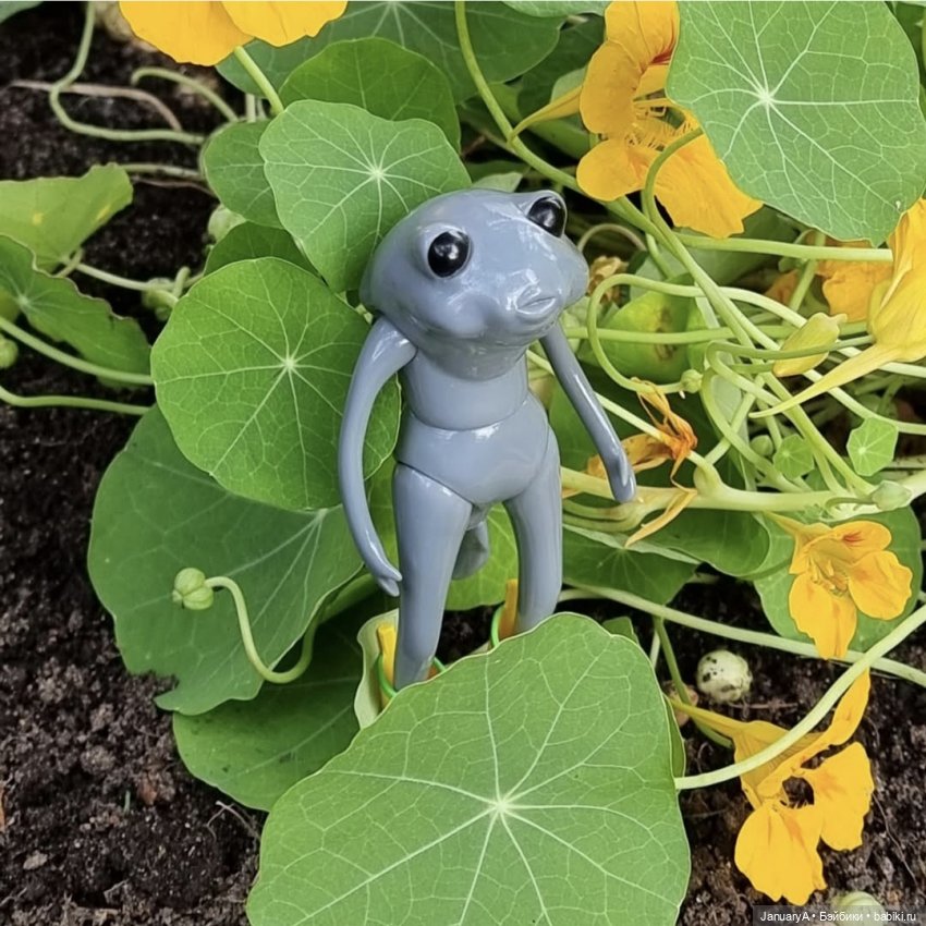 Мои фотографии в календаре Wonder frog 🐸