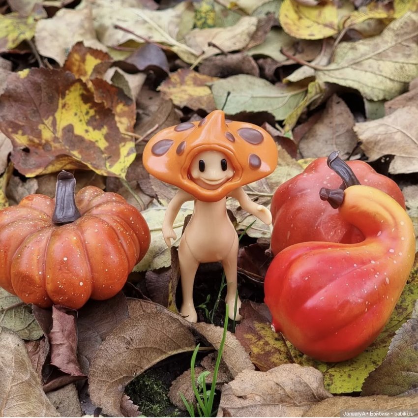 Мои фотографии в календаре Wonder frog 🐸