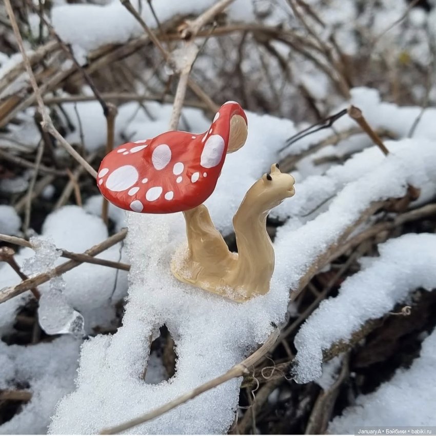 Мои фотографии в календаре Wonder frog 🐸